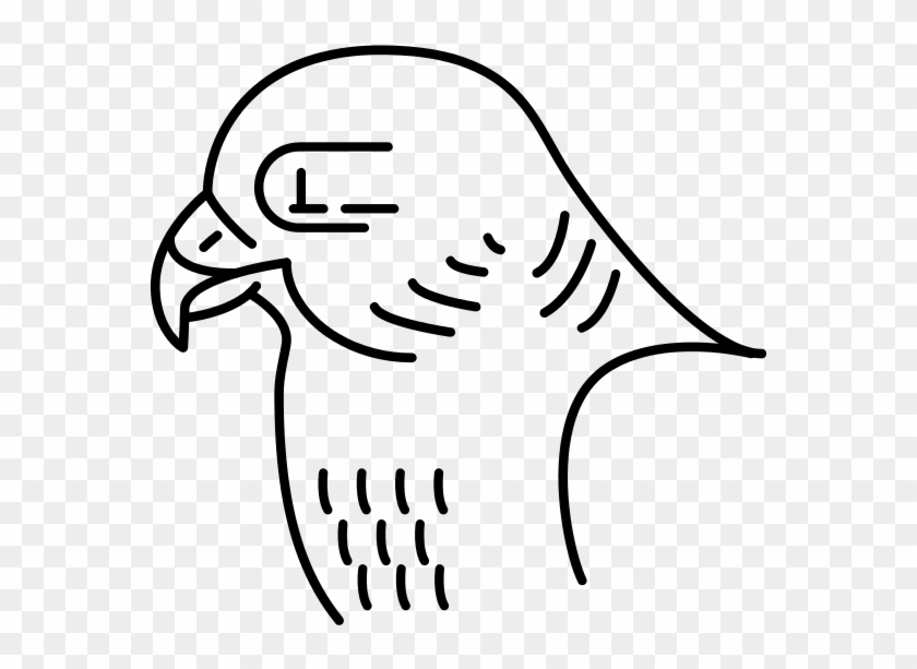 268 × 240 Pixels - Peregrine Falcon Head Transparent #1389710