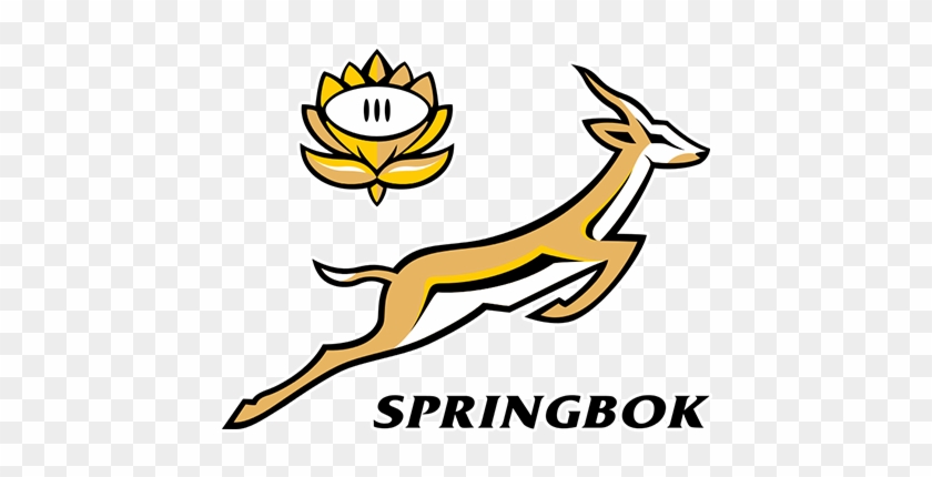 Springboks Vs Argentina 2018 #1389719