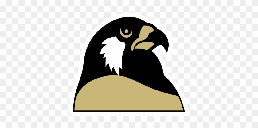 Foster Falcons - Foster High School Logo #1389722