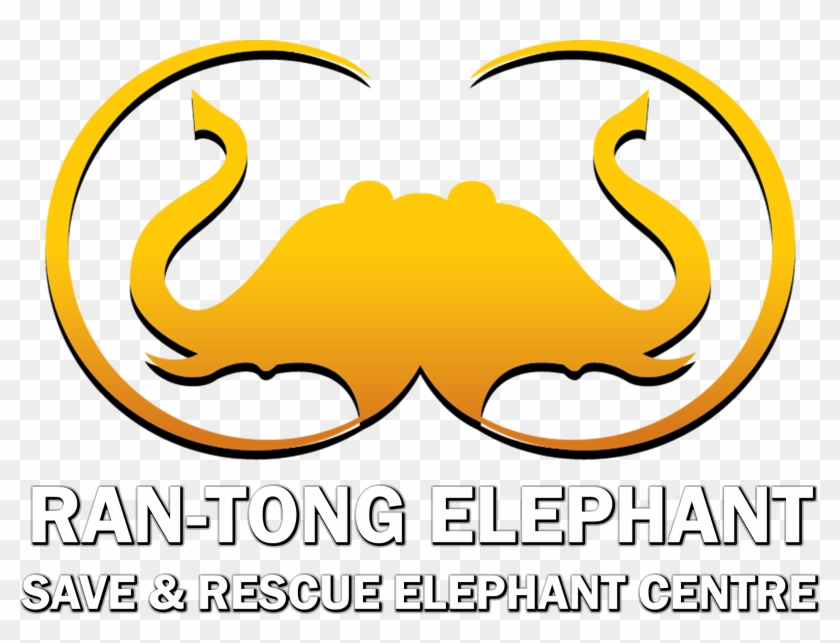 Ran-tong - Ran-tong #1389783