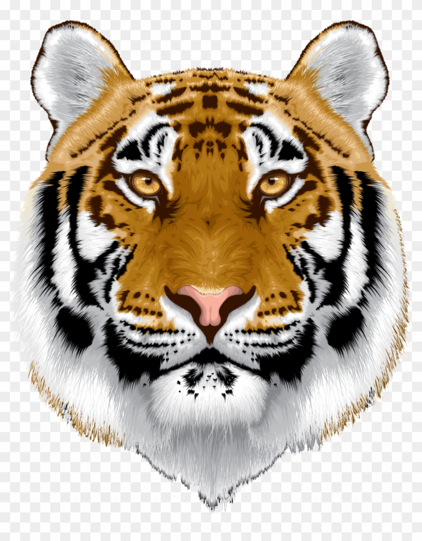 Tiger Head Clip Art Head Exploding Clip Art Headache - Tiger Head Image In Png #1390006