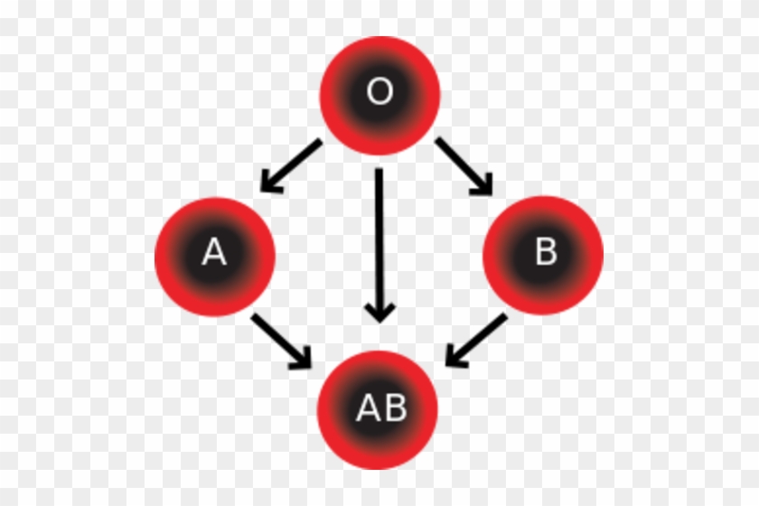 A Fourth Blood Group Is Added - Four Blood Types #1390205
