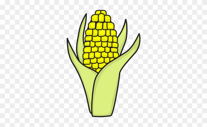 Apple Corn - Maize #1390288