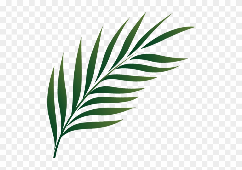 Go To Image - Palm Leaf Icon Png #1390365