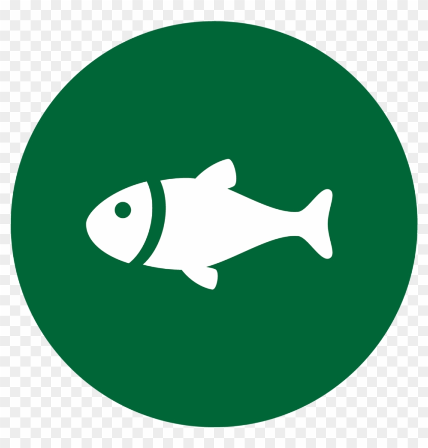 About Fishing Wintergreen Sporting Club Insights - Share Icon Green Round #1390449