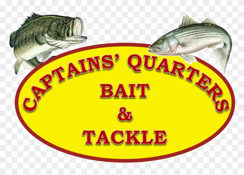 Spring Fling Sponsored By Captain's Quarters Bait & - License Plates Online Large Mouth Bass Centered #1390664