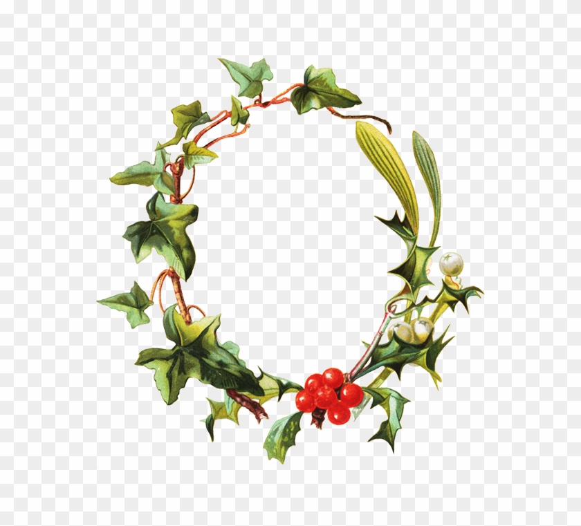 Flower Borders And Frames Christmas Frame Mistletoe - Borders And Frames #1390990