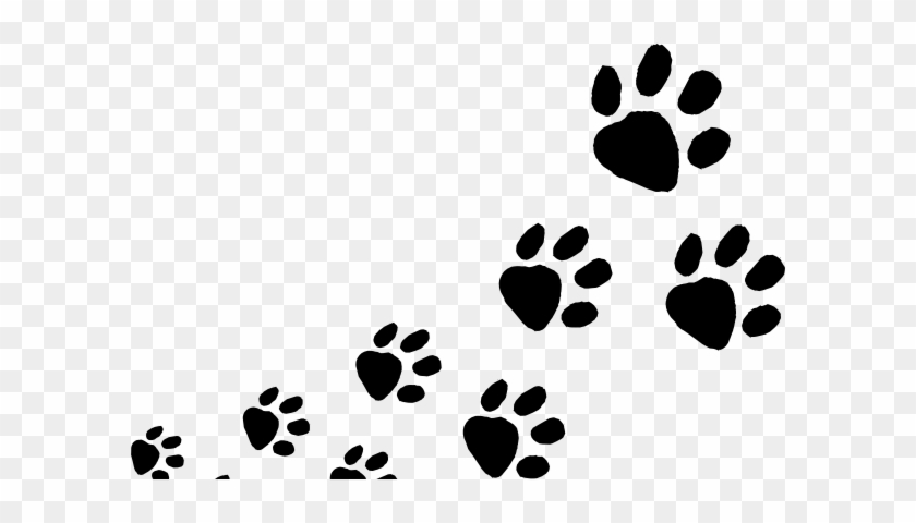 Winter Animal Tracking Class At Wasatch Mountain State - Dog Foot Print Clipart #1391176
