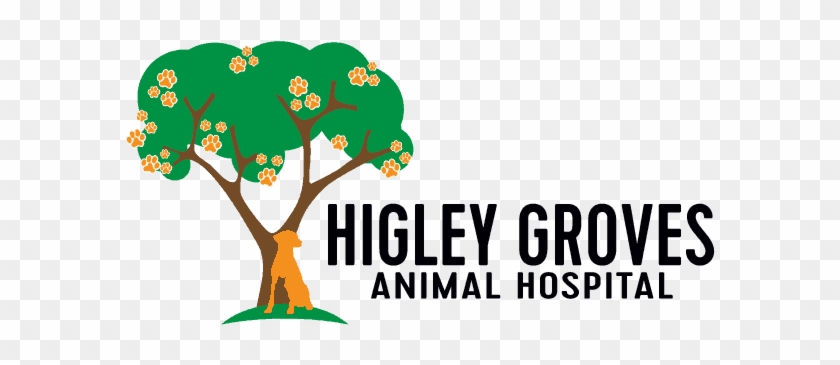 Higley Groves Animal Hospital #1391380