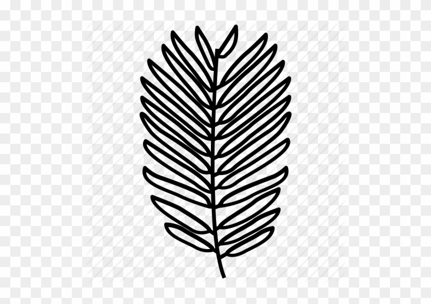 Twig Vector Conifer Clip Art Free Stock - Frond #1391538