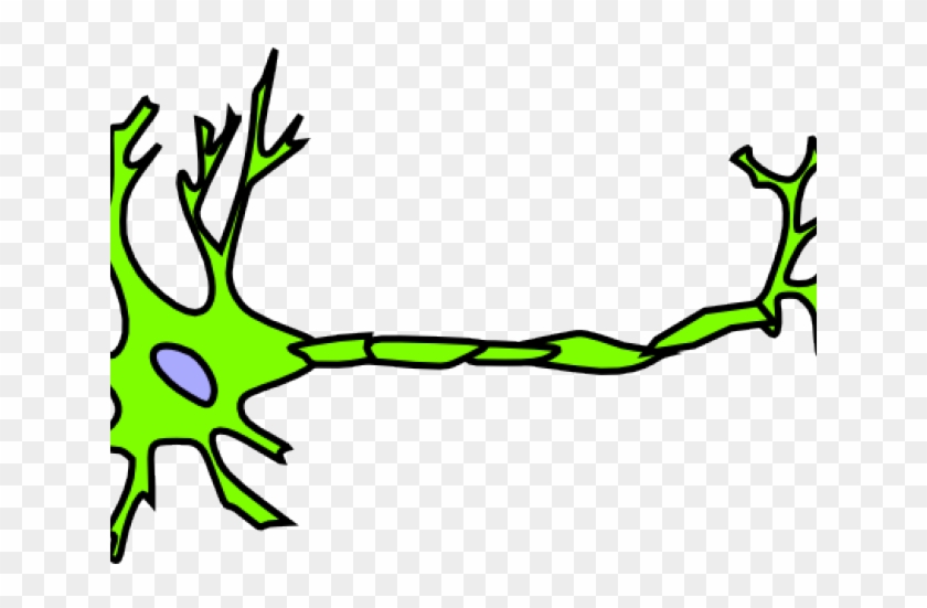 Neuron Clipart Green - Neuron Clipart #1391553