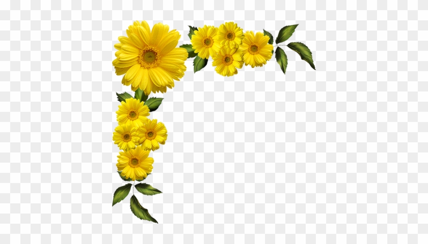 Flores Encontradas En La Web Frame Clipart, Flower - Yellow Daisies Chrysanthemum Flowers Wall Sticker Paper #1391592