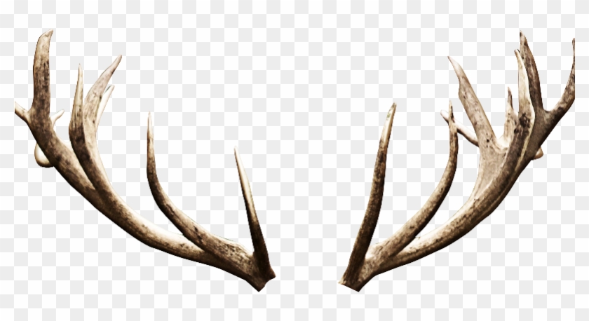 Png Free Download Antlers Transparent Background - Deer Antlers Transparent Background #1391780