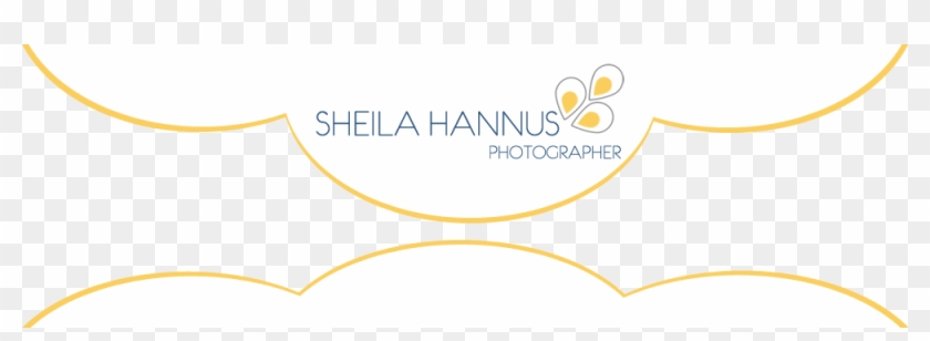 Sheila Hannus, Knoxville Wedding Photographer - Sheila Hannus, Knoxville Wedding Photographer #1391800