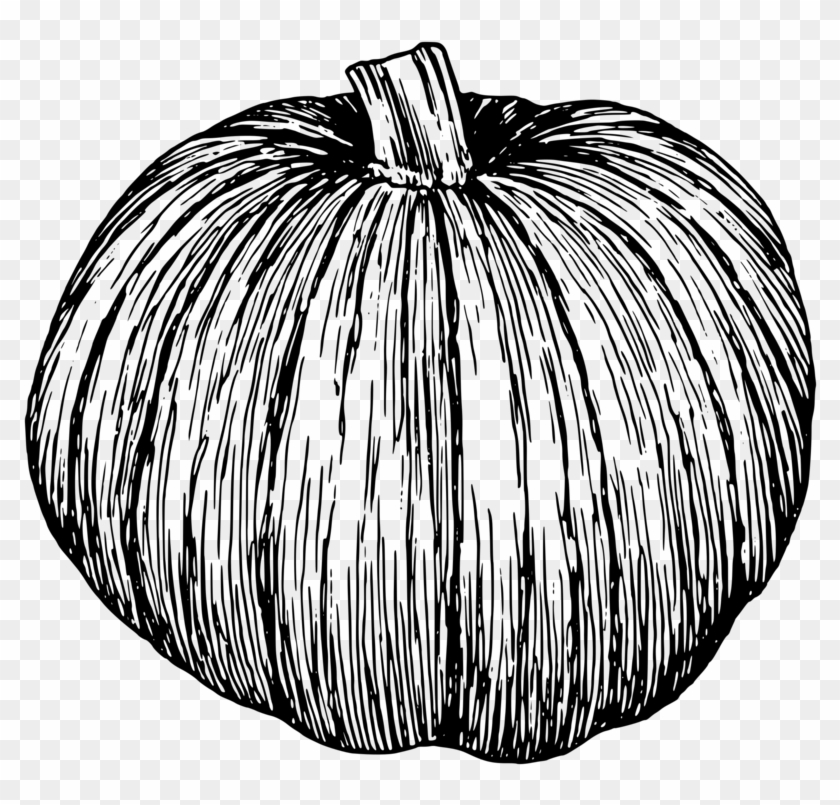 Pumpkin Pie Drawing Line Art Jack O' Lantern - Black And White Pumpkin Illustration #1392034