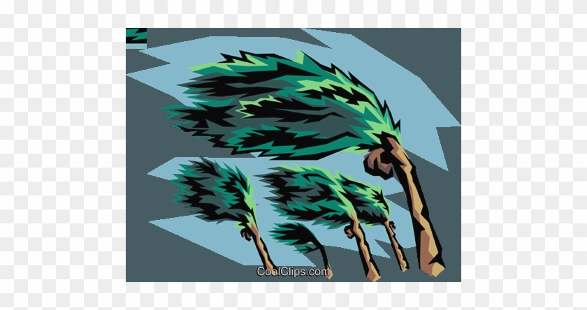 Clip Art Hurricane Winds And Palm Tree Royalty Free - Biological Stressors Examples #1392404