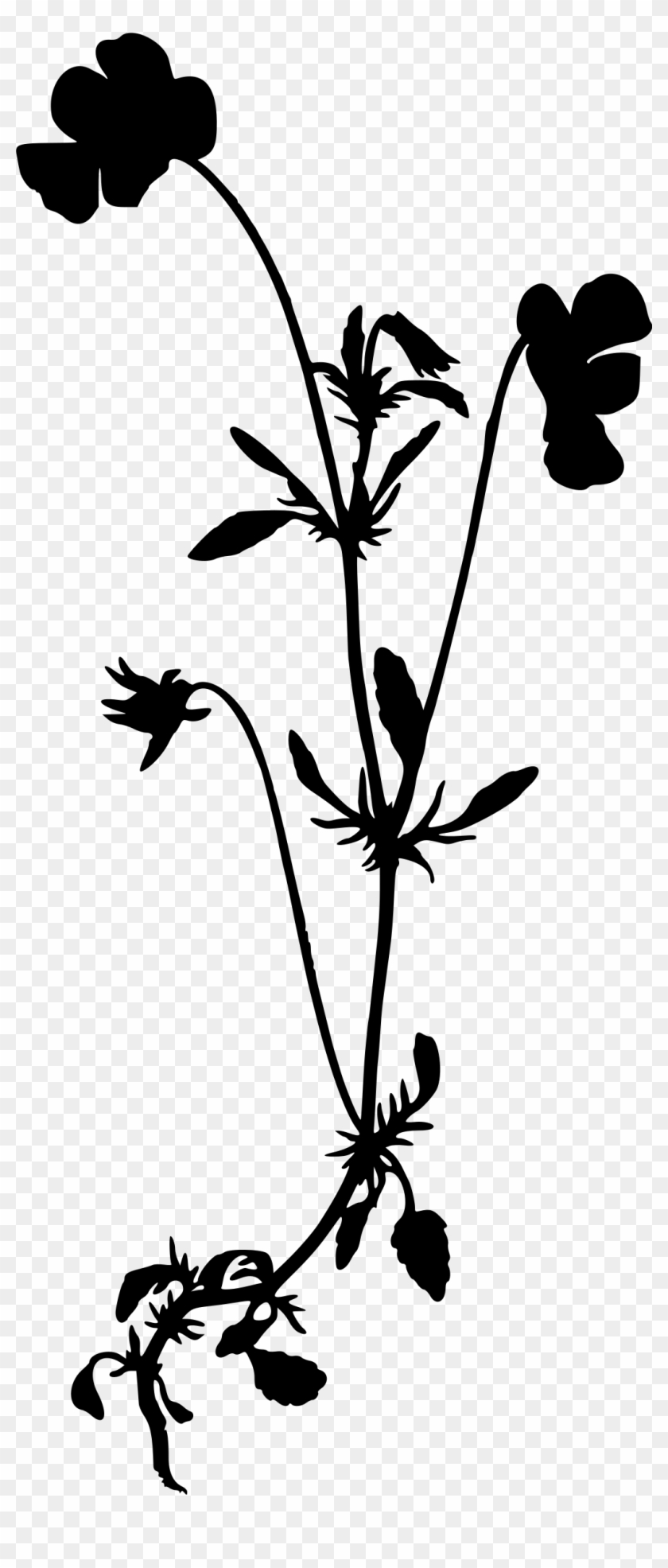 Heartsease Clip Royalty Free - Black And White Wildflower Silhouette #1392444