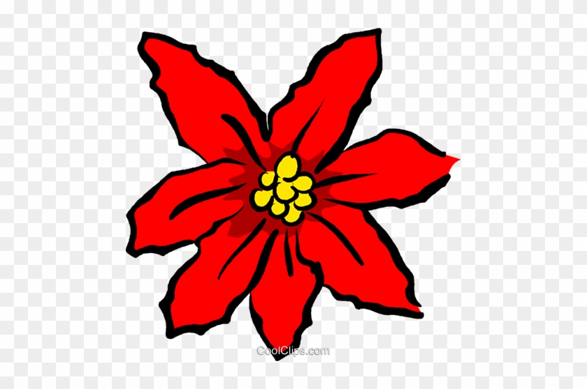 Poinsettias - Poinsettia Cartoon #1392452