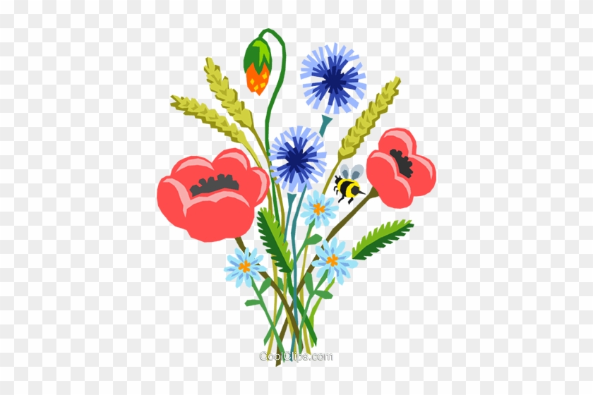 Poppy Bouquet Royalty Free Vector Clip Art Illustration - Specification #1392461