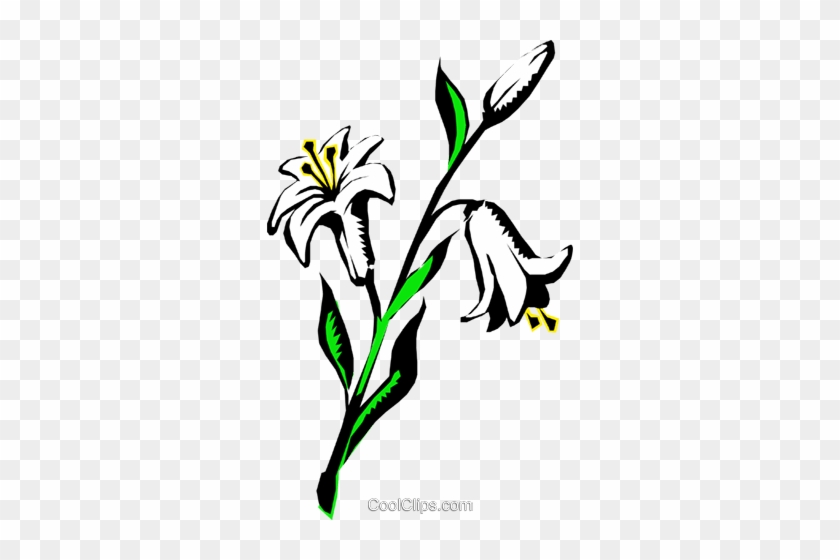 Lilies Royalty Free Vector Clip Art Illustration - Lírio Vetor #1392466
