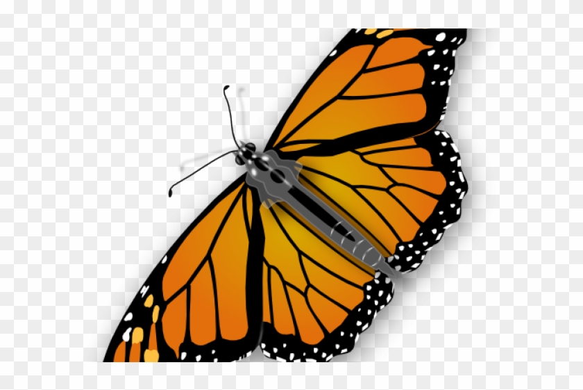 Monarch Butterfly Clipart Little Butterfly - Butterfly Clipart No Background #1392594