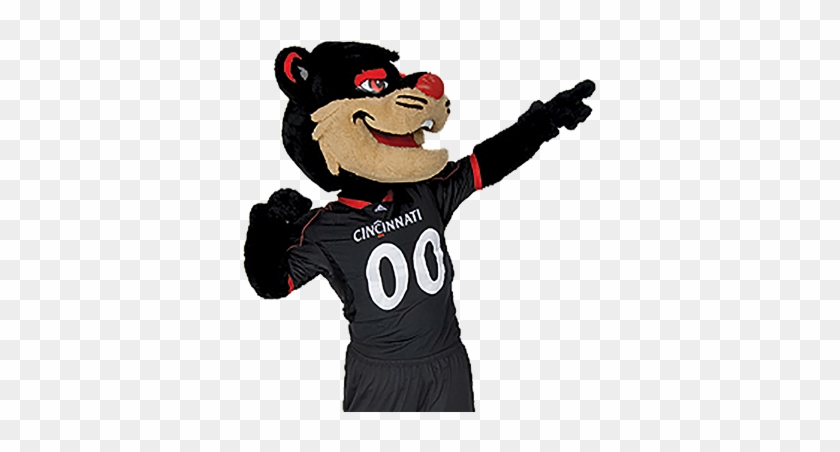 University Of Cincinnati Bearcat - University Of Cincinnati Mascot #1392629