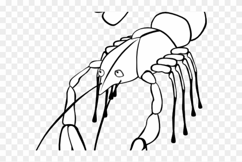 Crawfish Clipart Black And White - Crawfish Clipart Black And White #1393125