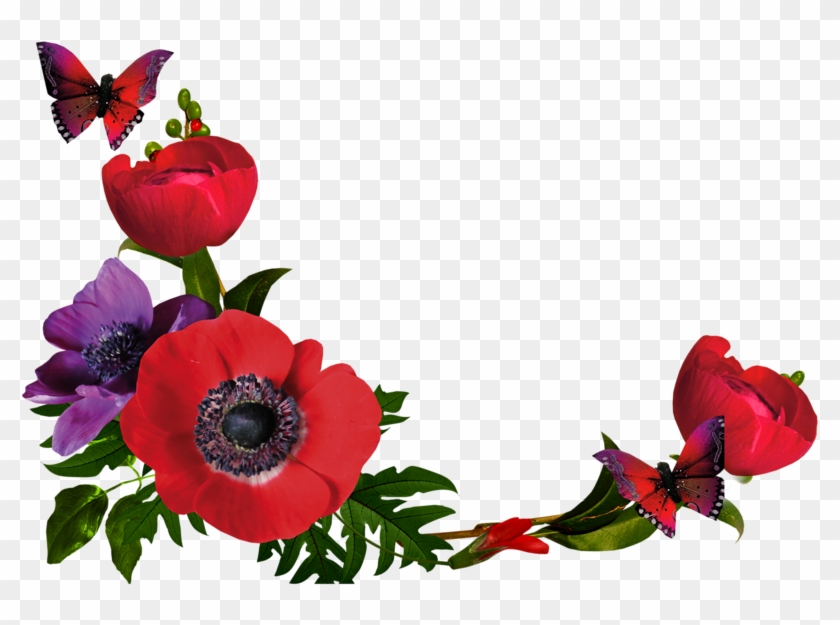 Poppy Clipart Three - Png گل #1393142