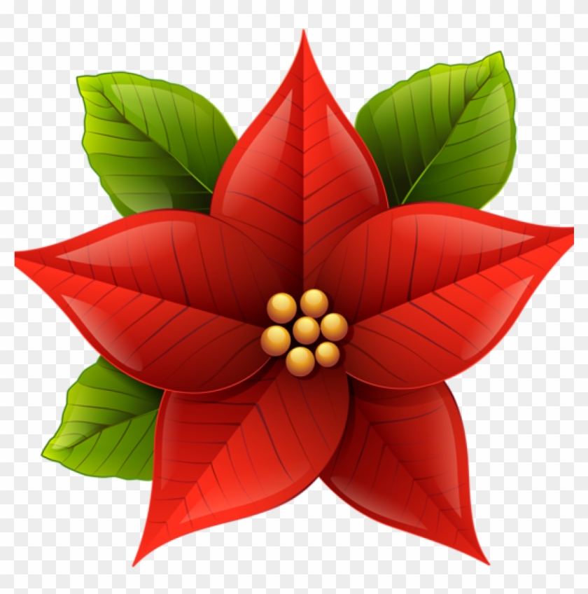 Poinsettia Clip Art Christmas Poinsettia Png Clip Art - Clip Art Poinsettia #1393663