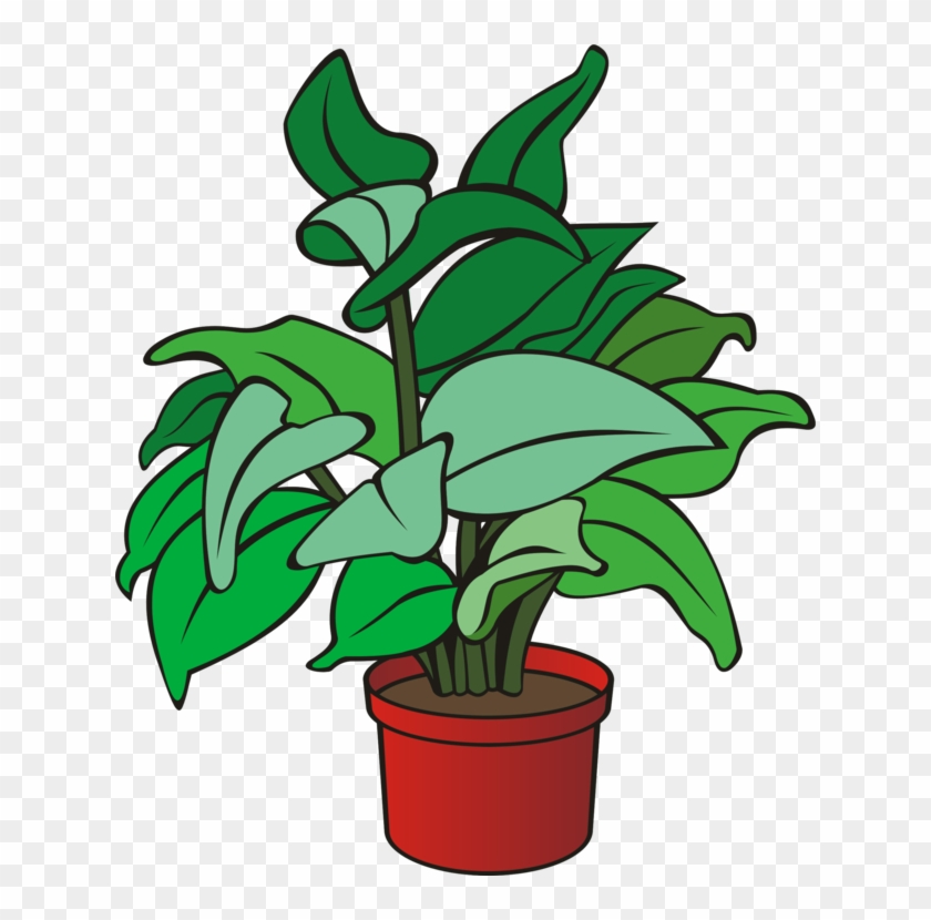 All Photo Png Clipart - Clipart Picture Of Plant #1393665
