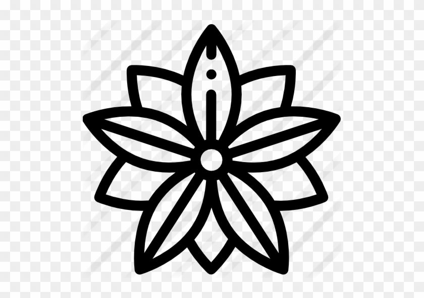Poinsettia Free Icon - Scalable Vector Graphics #1393666