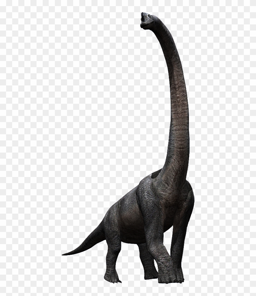 Brachiosaurus - Jurassic Park Brachiosaurus Png #1393782