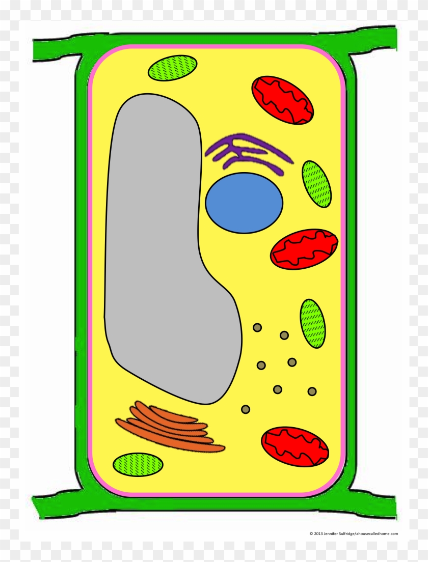 A School Called Home - Organelle #1394104