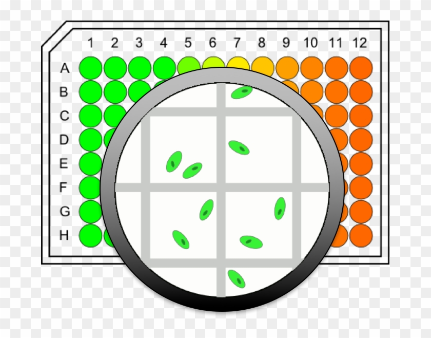 Microcell Arrays Obtain More Accurate Data From Single - Data #1394106