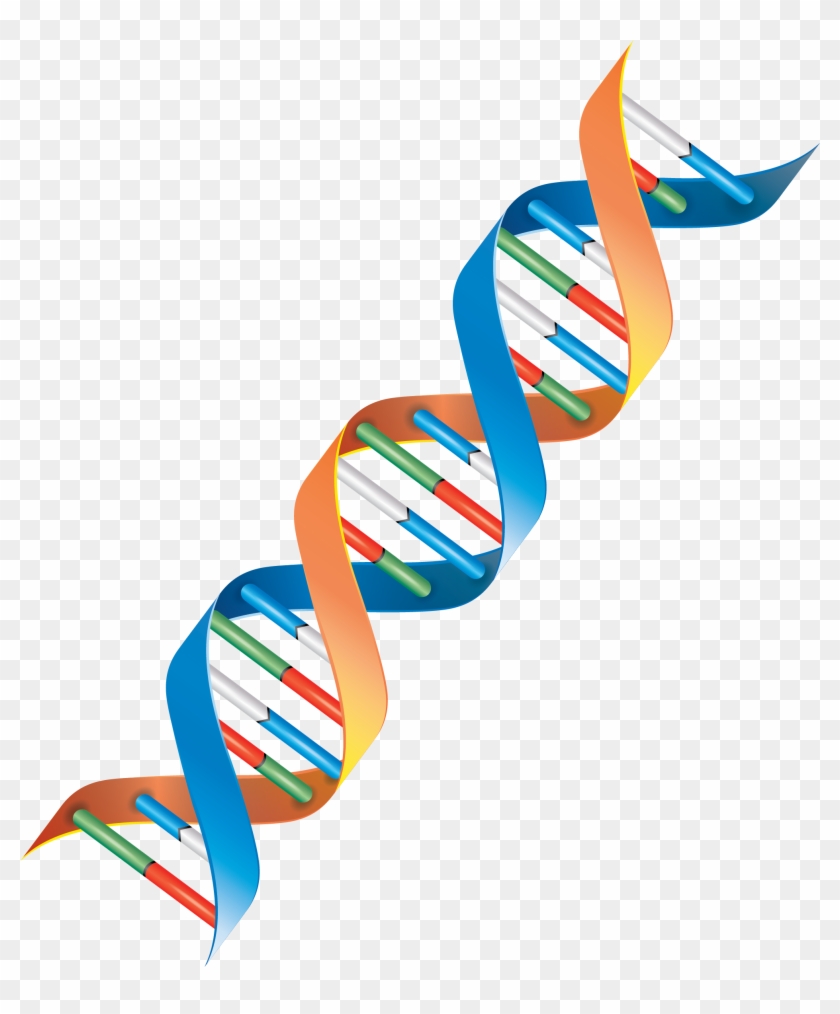 Genomics - Clipart Dna Strand Png #1394154