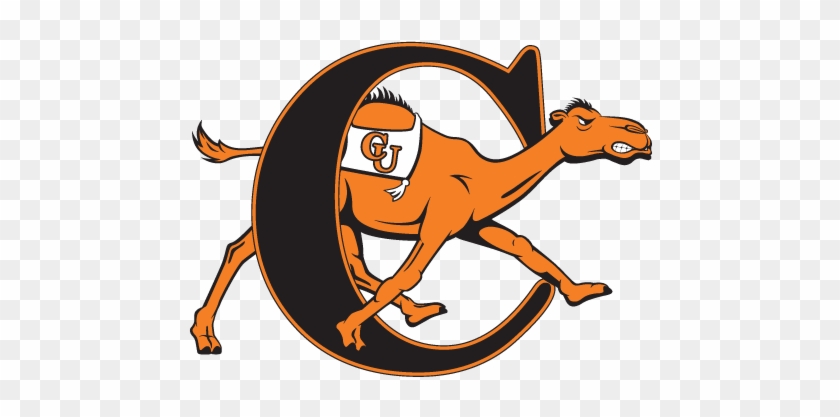 Campbell - Campbell Fighting Camels Basketball #1394161