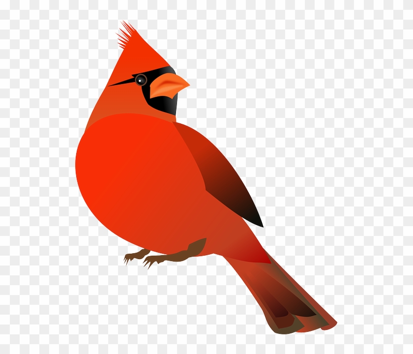 Free Image On Pixabay Cardinal Bird Cardinalidae - Cardinal Bird Cartoon #1394193