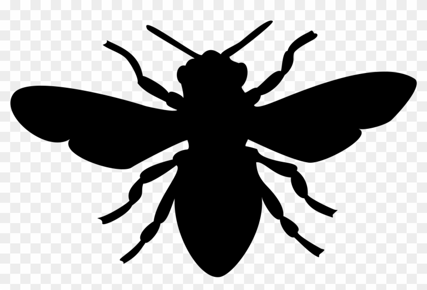 All Photo Png Clipart - Black Bee Clip Art #1394972