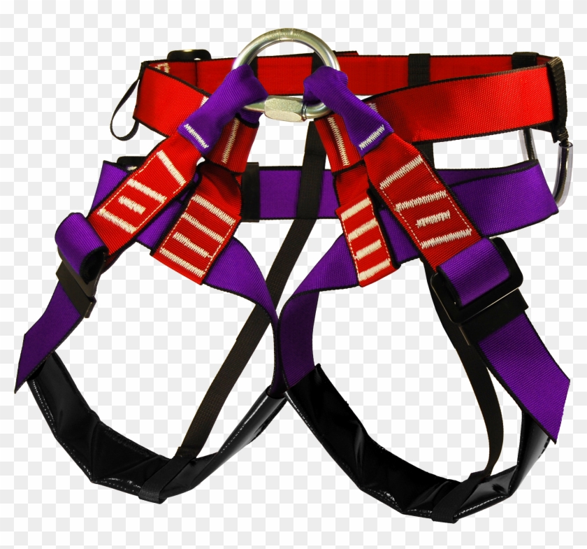 Sit Harness Avsp02 Tecnibat Xl 2016 - Arnés Tecnibat - Aventure Verticale #1395110