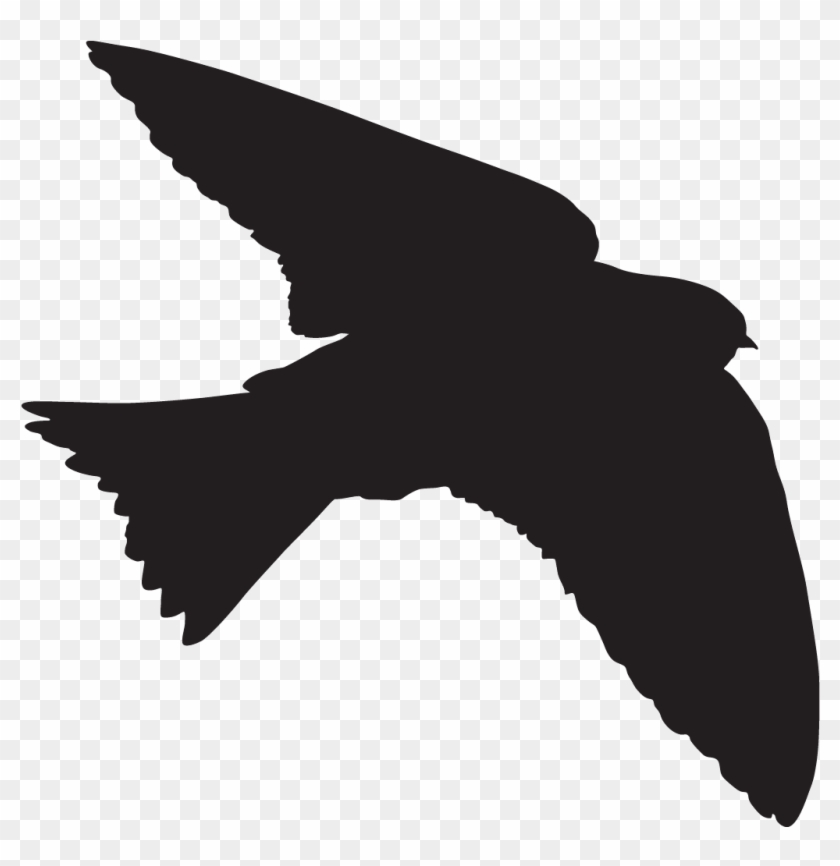 Swallow Overview All About - Tree Swallow Silhouette #1395130