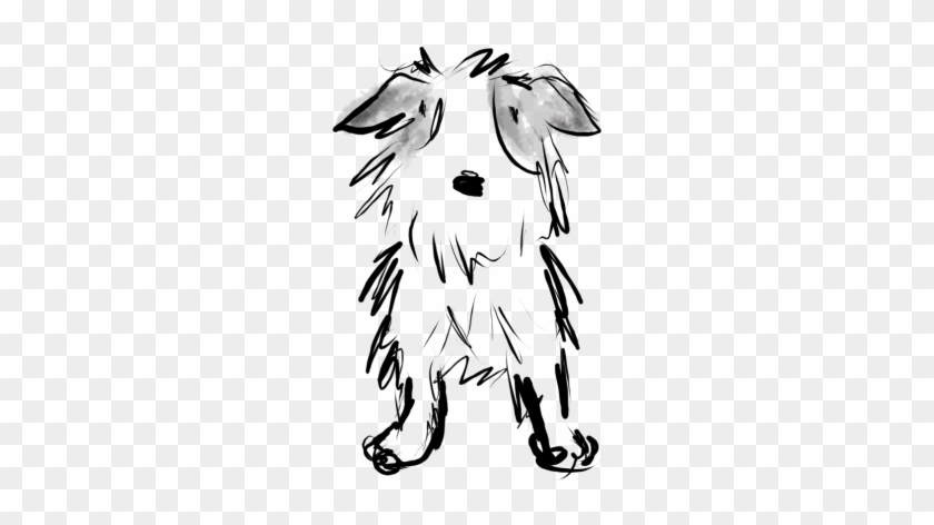 Jack Russell Terrior - Jack Russell Terrier #1395757