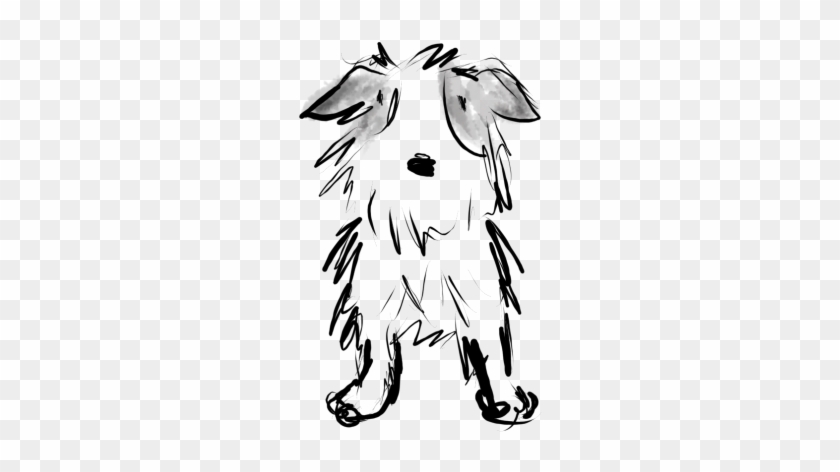 Jack russel terrier dog vector black contour portrait vector Jack russel  terrier dog black contour portrait dog head in  CanStock