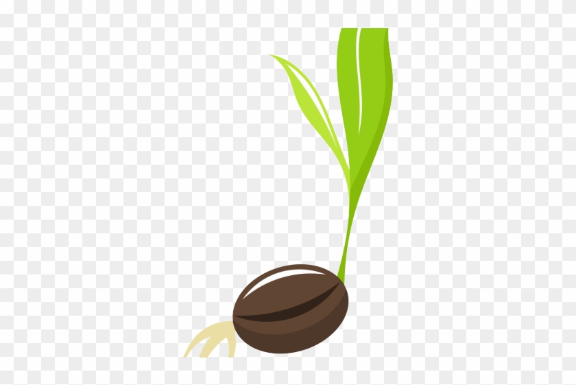 Seeds Clipart - Seed #1395811
