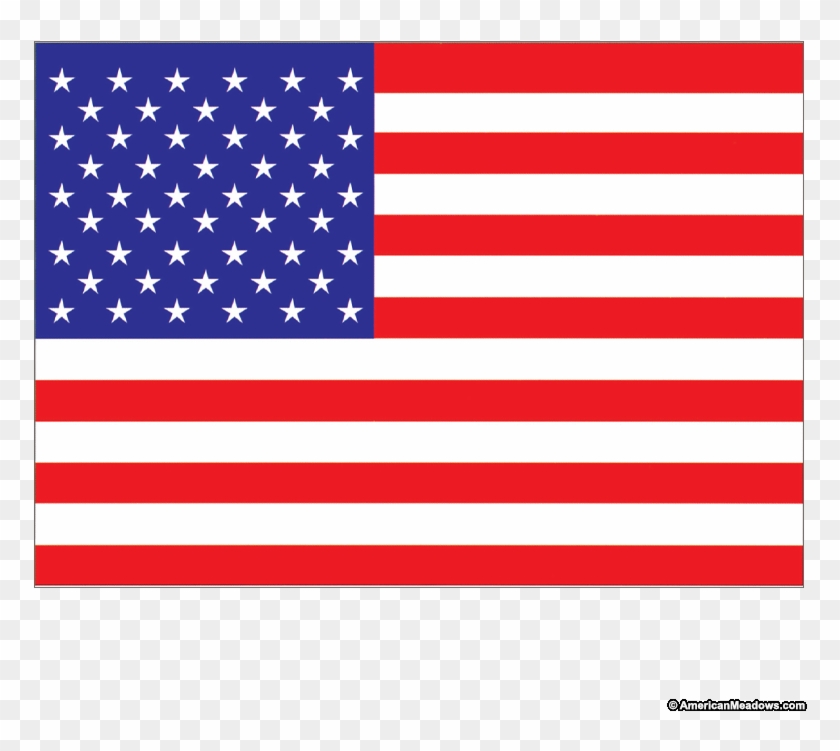American Seed Packet Meadows - American Flag #1395819