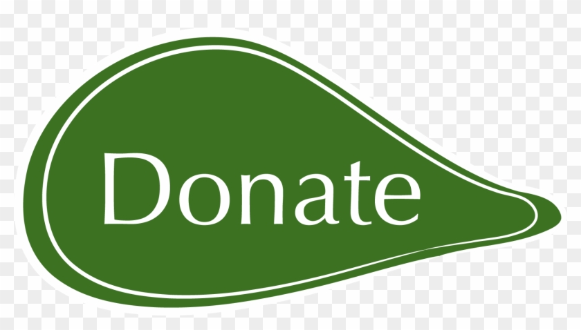 We Depend On Donations To Do Our Work - Donate Seeds #1395821