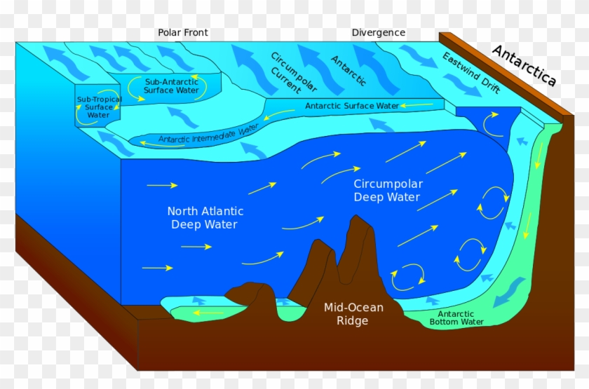 Antarctic Convergence And Divergence #1395866