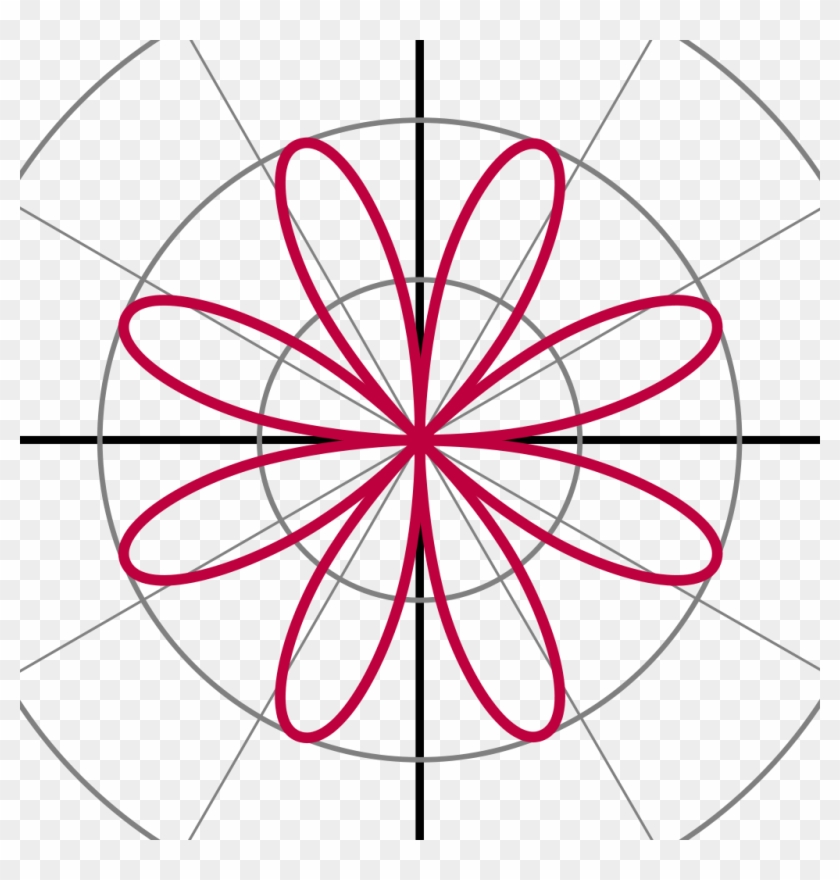 Rose 2sin - Polar Equation Graphs #1395869