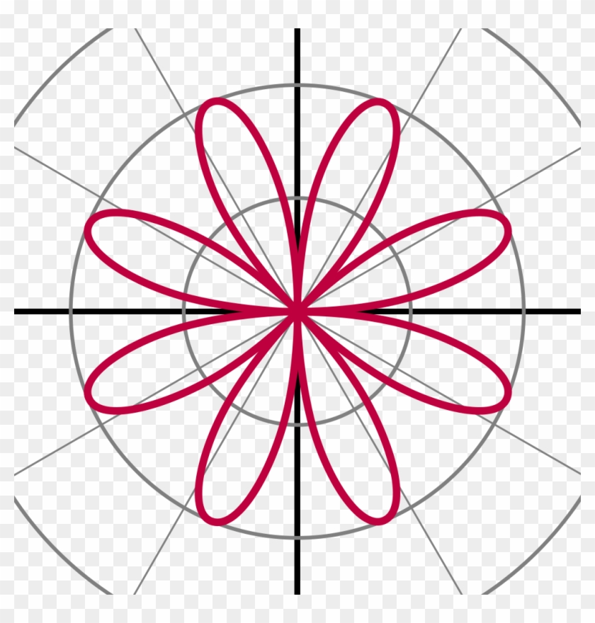 Rose 2sin - Polar Equation Graphs #1395869