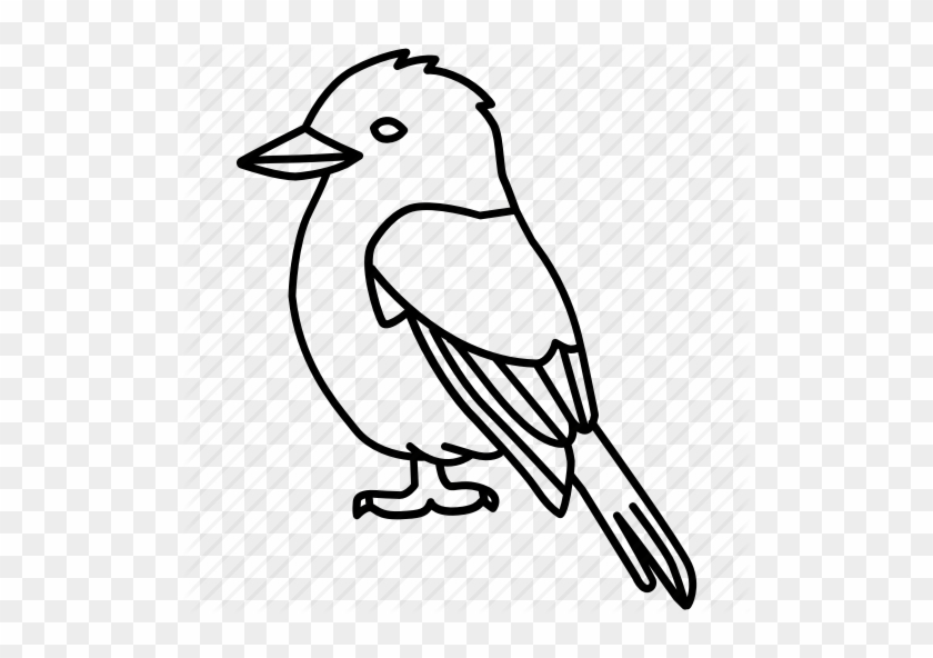 Image Royalty Free Birds Outlines By Jisun - Draw A Kookaburra Easy #1395962