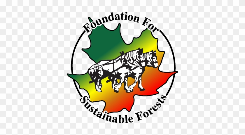 Foundation For Sustainable Forests #1396258